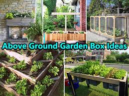 Above Ground Garden Box Ideas