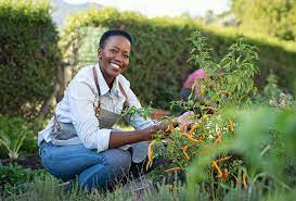 physical health benefits of gardening