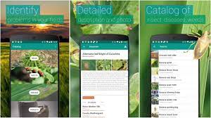 7 best flower identification apps for android. Top 9 Best Plants And Flowers Identification Android App 2021 Fuentitech