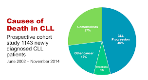 Take Out Messages From Cll Horizons Cll Advocates Nz