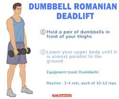 It's easy to learn, load, and program, and when it's performed. How To Do Dumbbell Romanian Deadlift With Tips 101exercise Com