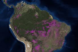 Map Shows The Millions Of Acres Of Brazilian Amazon Rain