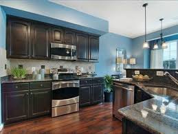 blue kitchen walls with dark wood cabinets