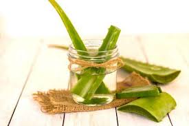 Aloe vera is a plant that's rich in vitamins a, b1, b2, b3, b6, b12, c, and e, which makes it a great ingredient for homemade face masks. Diy Face Masks Ideas With Aloe Vera Native Essentials Skin Care