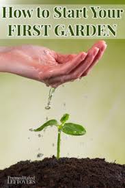 How To Start Your First Garden