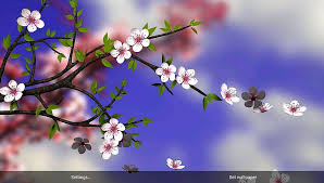 spring flowers 3d parallax android apps