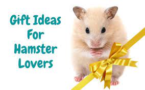 15 gifts for hamster owners