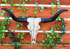 Bull Head Decor Bohemian Wall Art