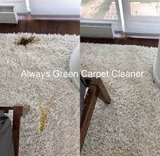always green carpet cleaner reviews
