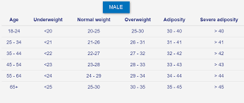 How The Bmi Formula Can Help You