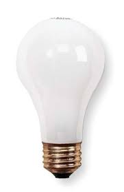 Light Bulb 100 Watt Rough Service 120 Cs