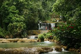 De ene waterval ligt iets meer afgelegen dan de andere of heeft hogere of juist lagere cascades. Achtergronden Ys Cornwall Jamaica Natuur Watervallen Bossen Tropisch