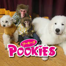 Pookies【プーキーズ】 - YouTube
