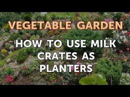 how to use milk crates as planters