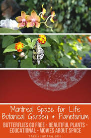 The Montreal Botanical Garden And