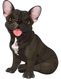 french bulldog cartoon vector images