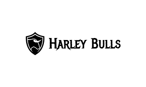 harley davidson logo generator custom