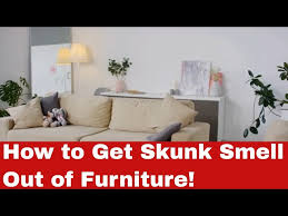 How To Get Skunk Smell Out Of Furniture