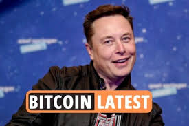 Within weeks of sending bitcoin (btc) soaring with his. Bitcoin Latest Elon Musk Support Sees Cryptocurrency Price Surge But Ethereum Has More Potential As Dogecoin Slumps Uk News Agency