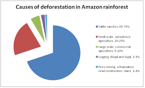 Deforestation in the Amazon gambar png