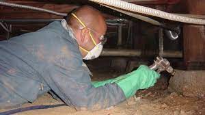 subterranean termite treatments costa
