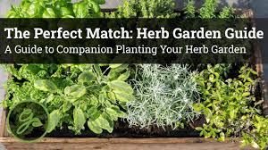 the perfect match herb garden guide