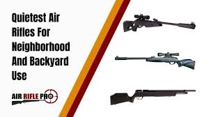 Quietest Air Rifle On The Market For Neighborhood And