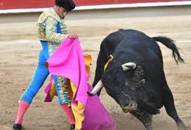Las corridas de toros hacen parte de una tradición cultural”: Gitanillo de  América | Confidencial Colombia