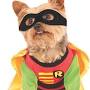 batman and robin dog costume from googleweblight.com