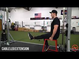 the 10 best leg extension alternatives