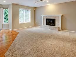 professional carpet cleaners carpet