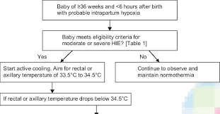 Flow Chart For Commencing Therapeutic Hypothermia Remove Any