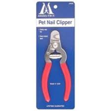 millers forge stainless steel dog nail