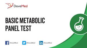 Basic Metabolic Panel Test