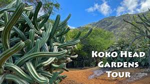 best 8 botanical gardens in oahu to