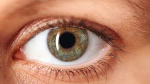 11 Insightful Facts About Eyes Mental Floss
