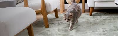 cat rugs a cat rug or cat area rug