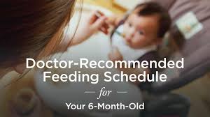 6 Month Old Feeding Schedule A Doctor Recommended Plan
