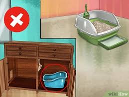 Check spelling or type a new query. How To Hide A Cat Litter Box 10 Steps With Pictures Wikihow