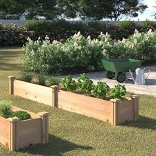 Raised Bed Vegetable Garden Layout