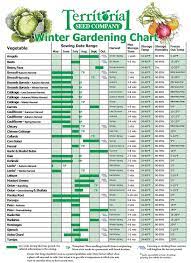 Your Guide To Planting When To Plant What