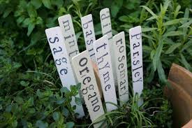 Plant Labels Every Grower Should Know