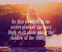 Say You Want Quotes - Psalm 91 King James Version (KJV) 91 He that dwelleth  in the secret place of the most High shall abide under the shadow of the  Almighty. 2