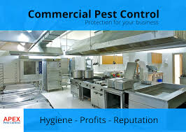 So, whenever you attempt to clean your kitchen, make sure that kitchen countertops, cupboards, floors, and all things are clean. Ant Pest Control We Quickly Kill Ants Apex Pest Control
