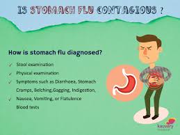 what is stomach flu or gastroenteritis