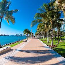healthy things to do in miami