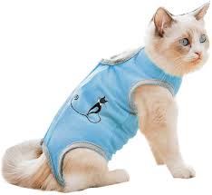 We have found the following website analyses that are related to cat recovery suit diy. Amazon Com Coppthinktu Cat Recovery Suit For Abdominal Wounds Or Skin Diseases Breathable Cat Surgical Recovery Suit For Cats E Collar Alternative After Surgery Wear Anti Licking Wounds Pet Supplies