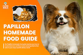 homemade dog food for papillons guide