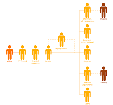 Example 1 Flat Organizational Chart This Diagram Was