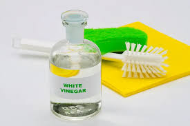 use vinegar for pest control